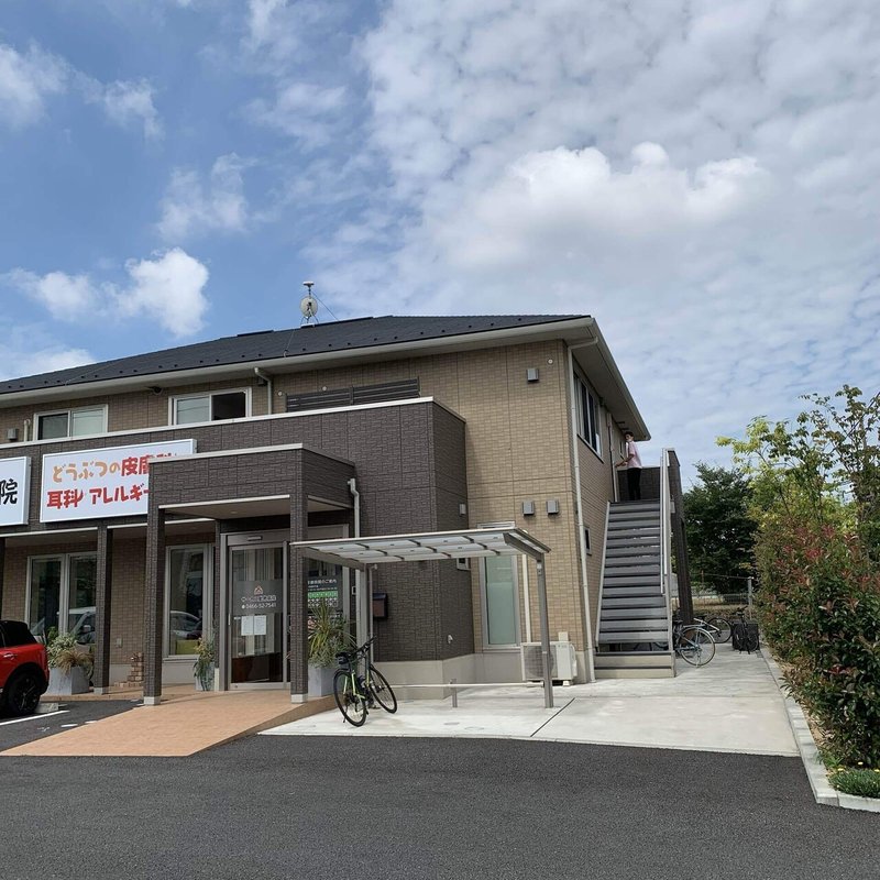 歯科専門獣医師の歯石除去を受けました Fuku Murakami Note