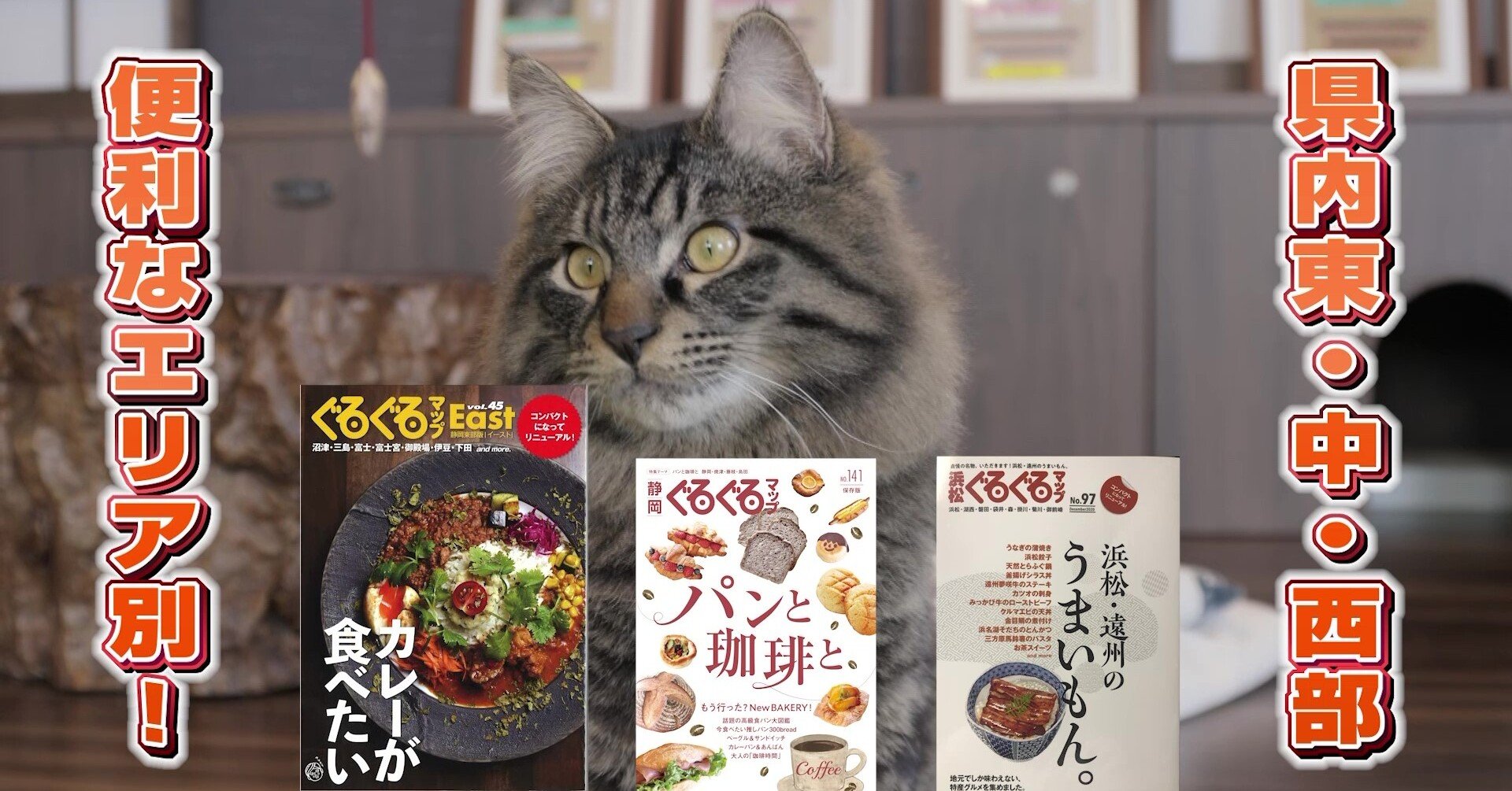 ぐるぐるマップ新CM、絶賛放送中u203c｜静岡新聞社の本｜note