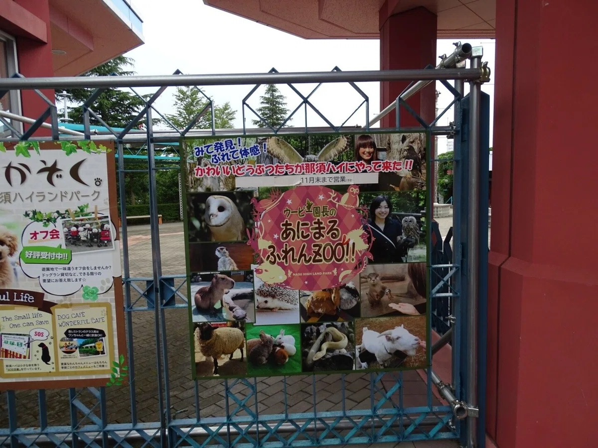 画像6