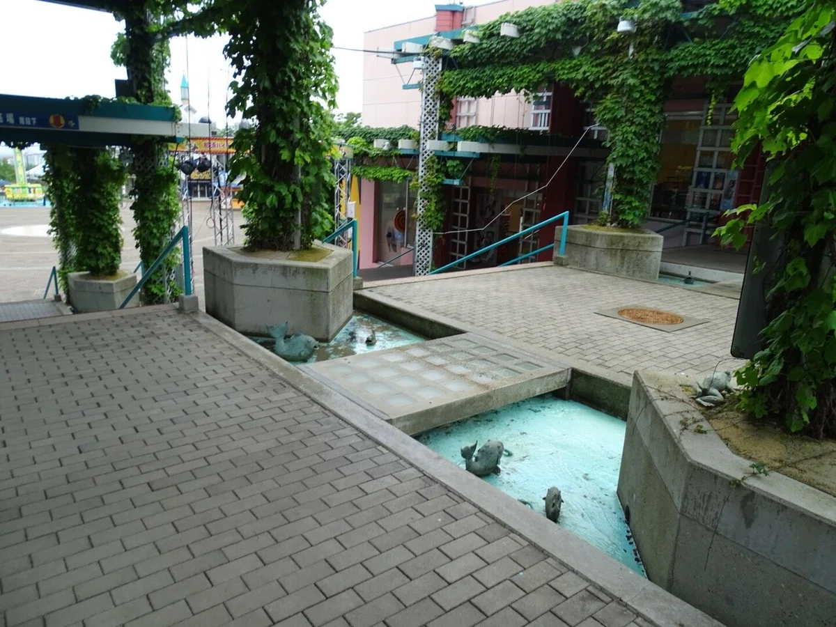 画像8