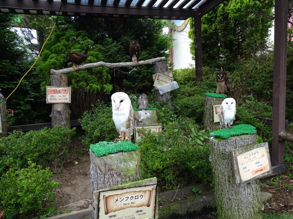 画像27