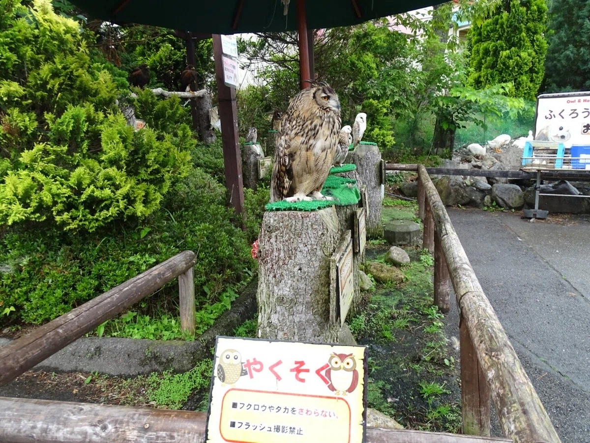 画像26