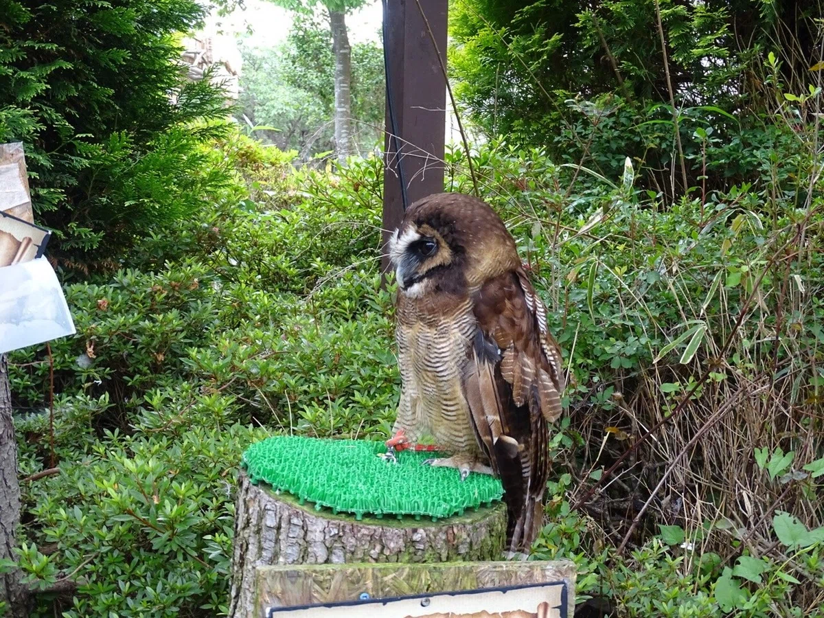 画像28