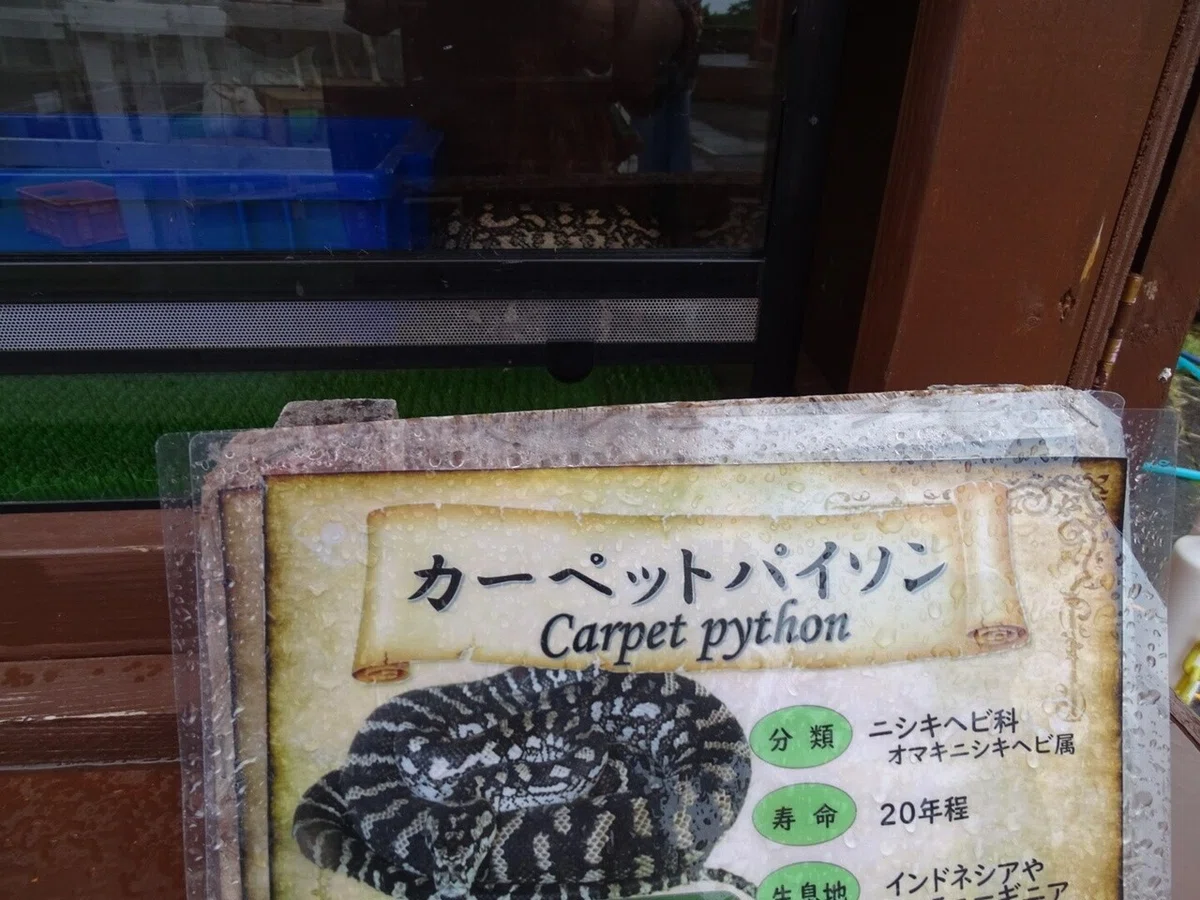 画像31