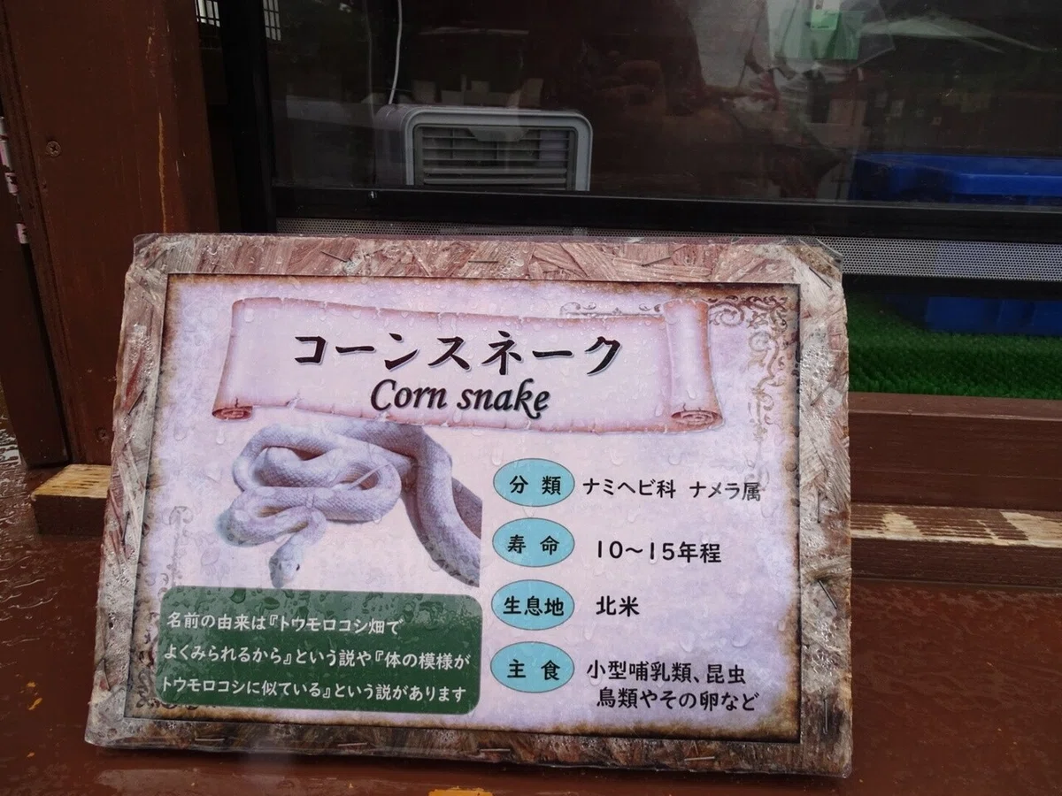 画像33