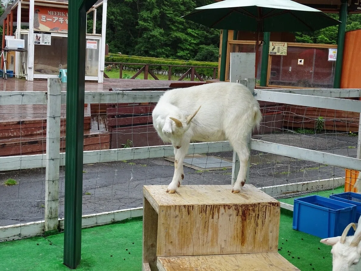 画像38