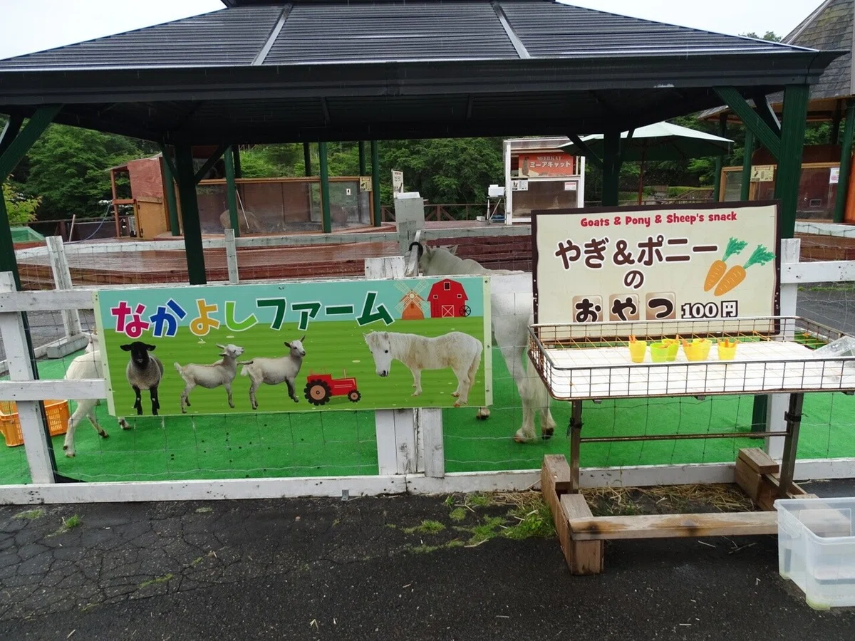 画像35
