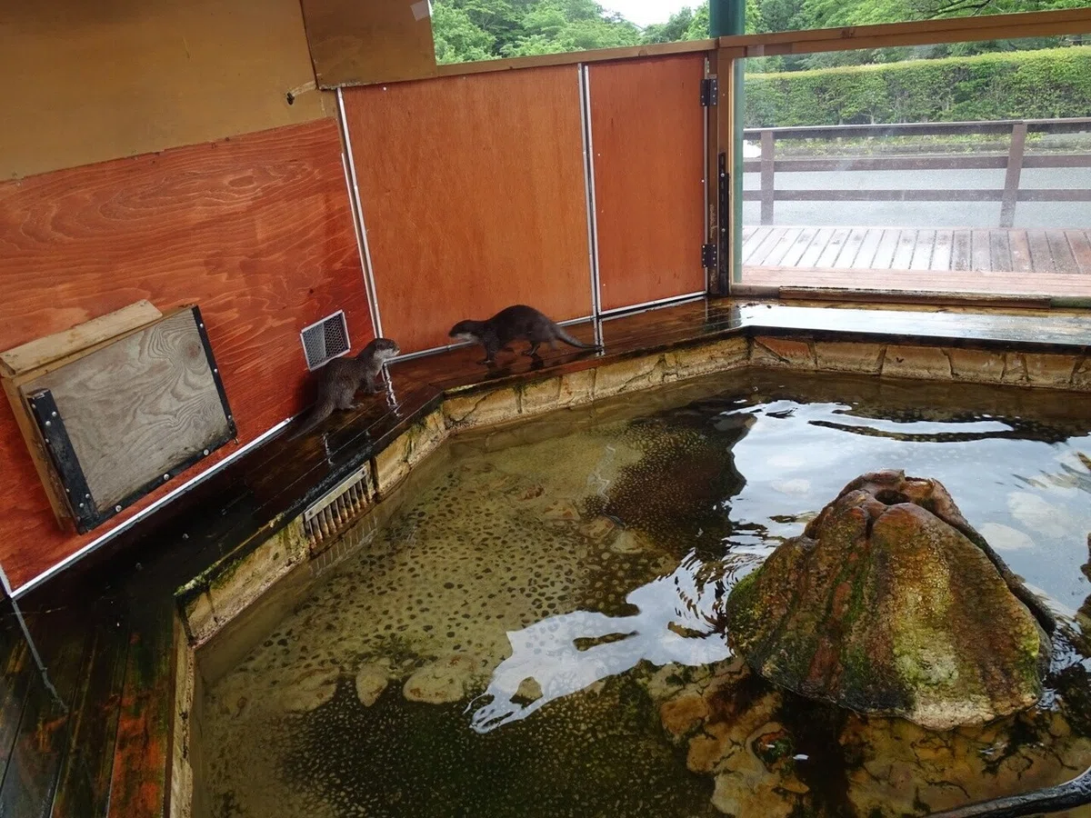 画像49