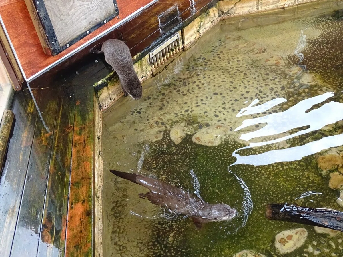画像40