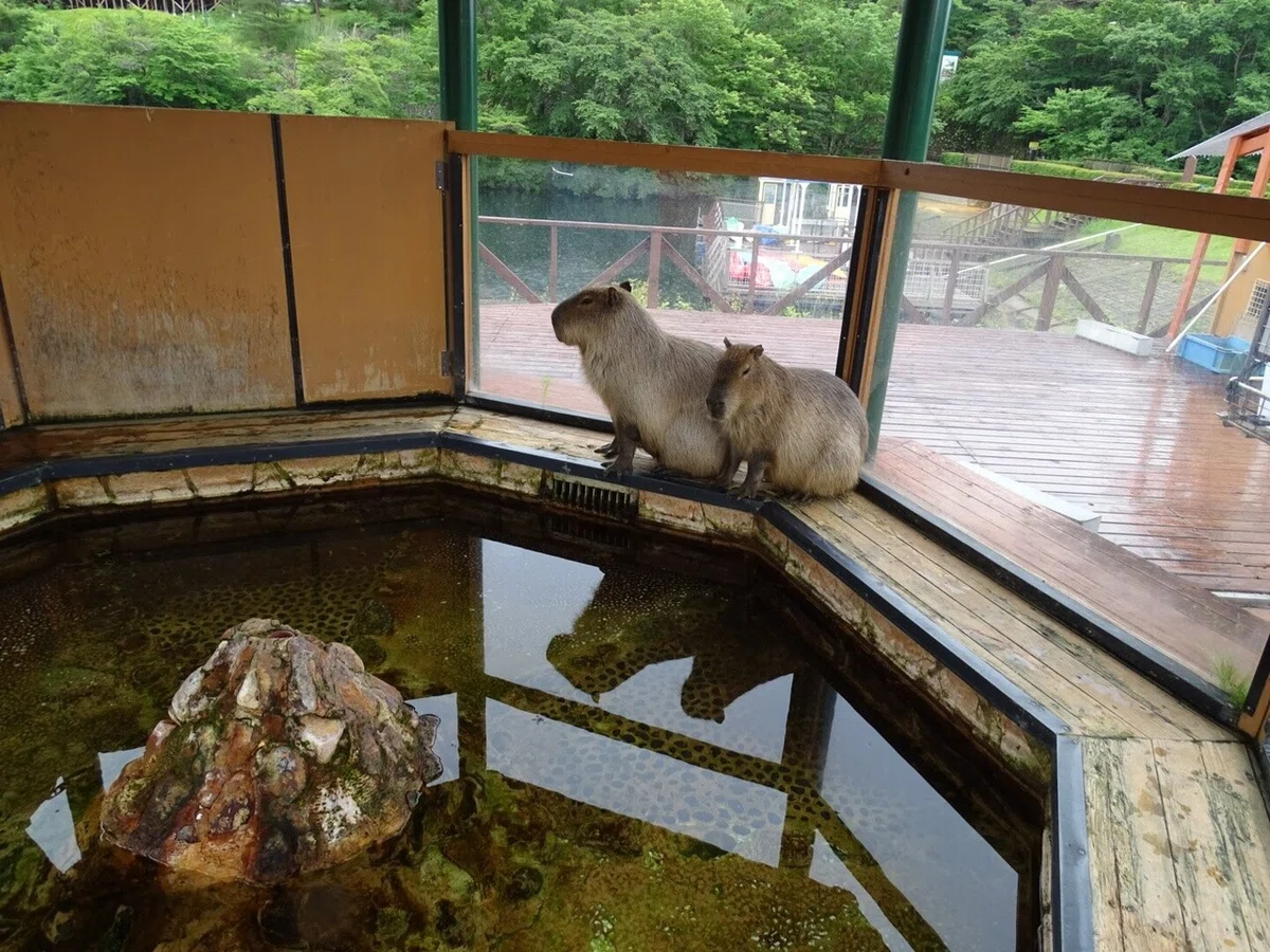 画像42