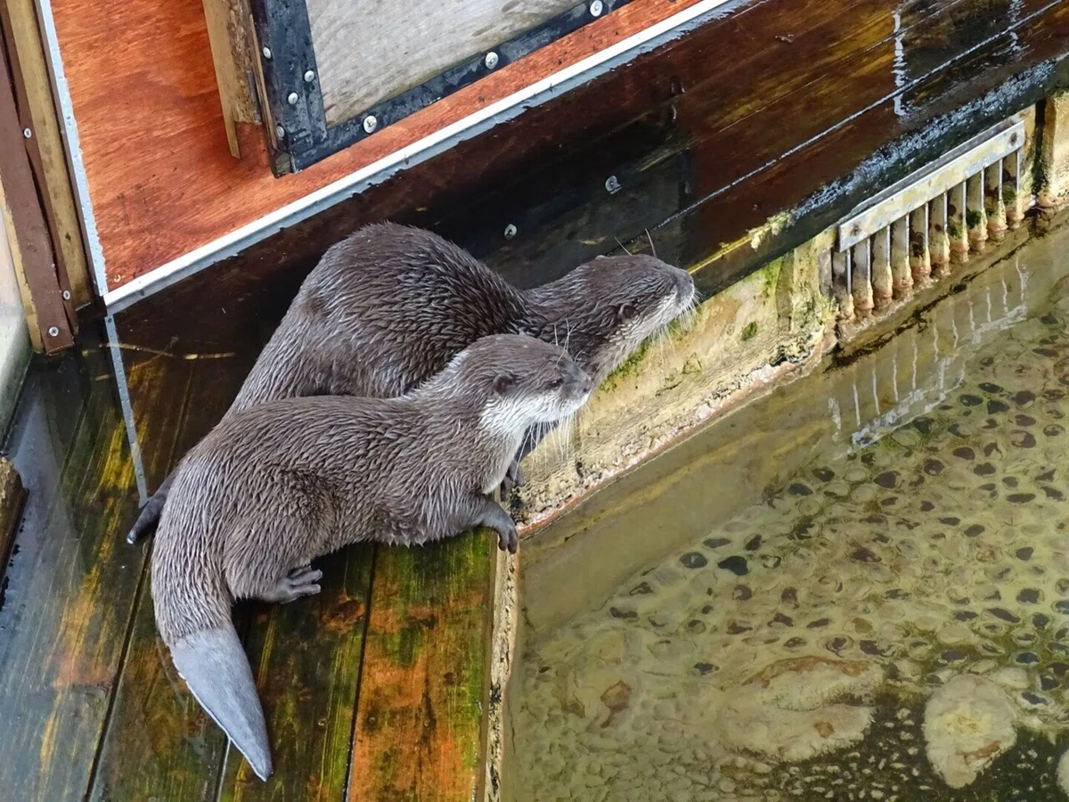 画像48