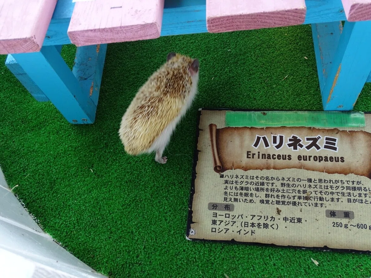 画像56