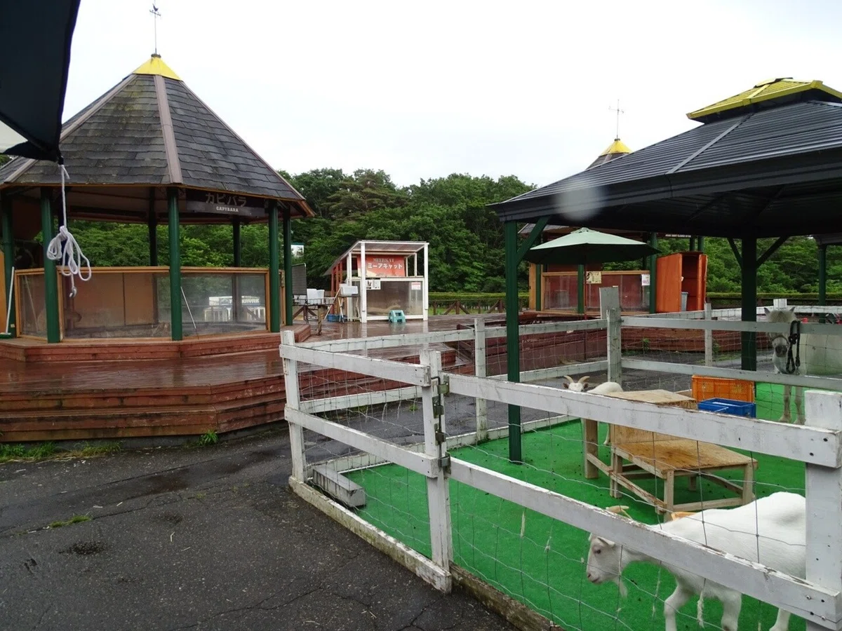 画像62