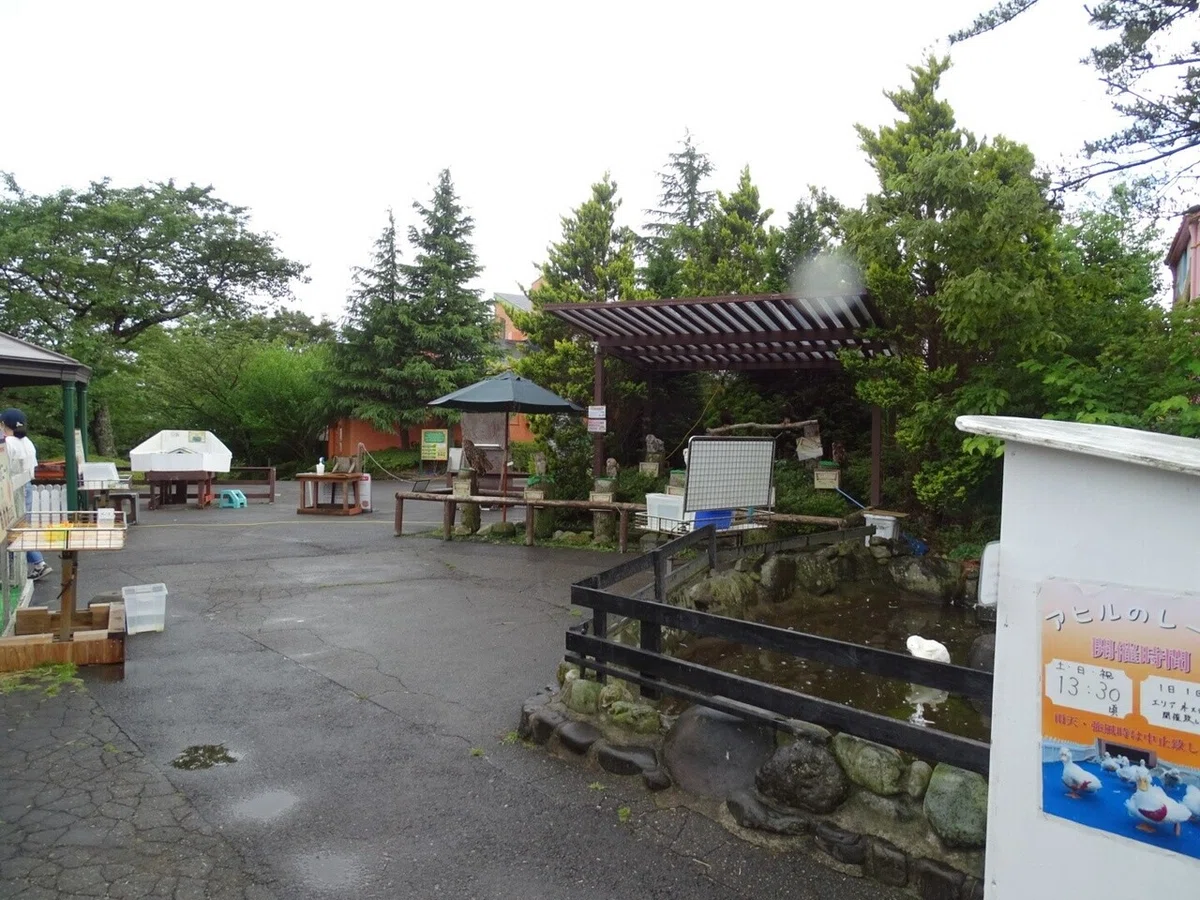 画像63