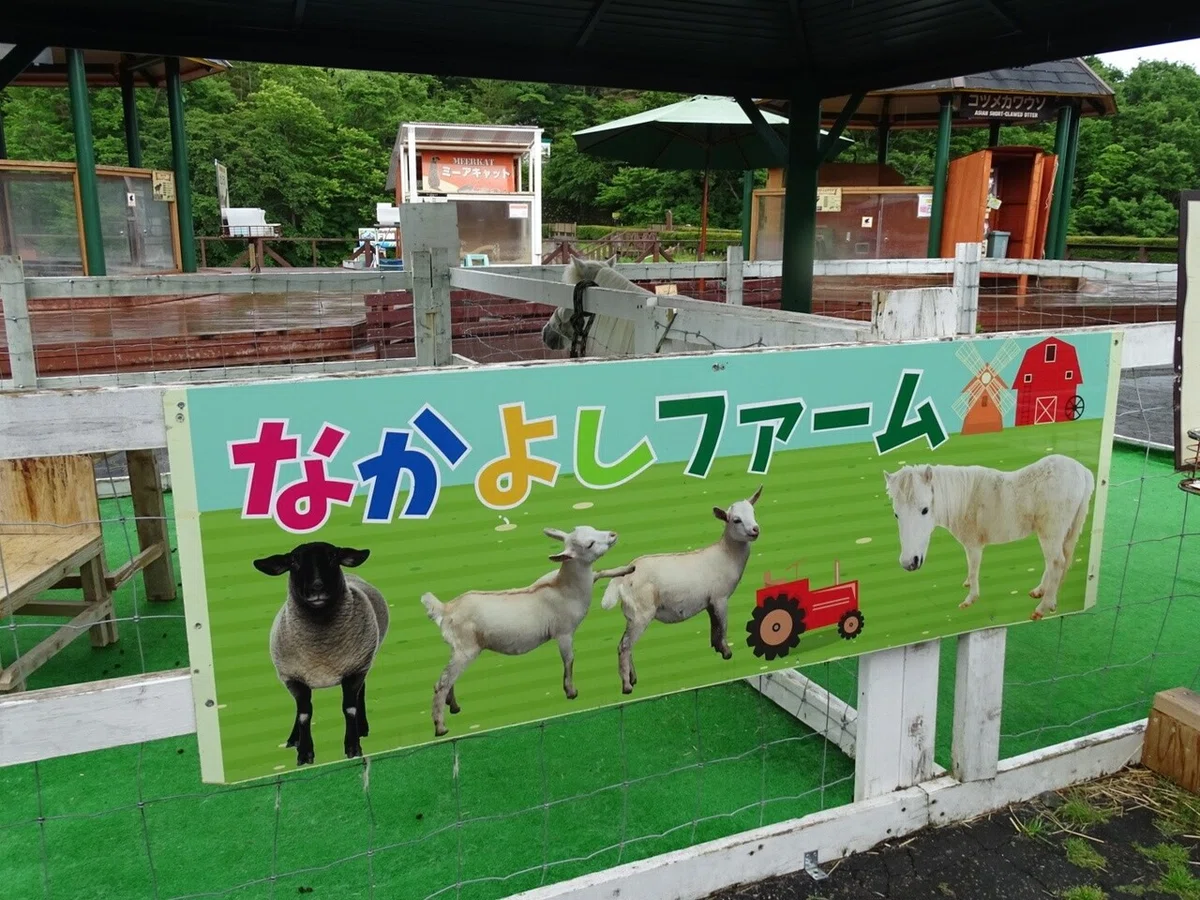 画像60
