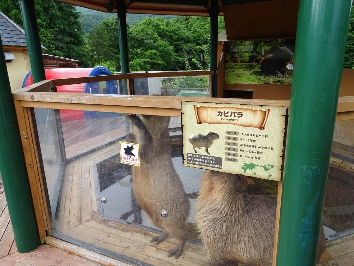 画像71