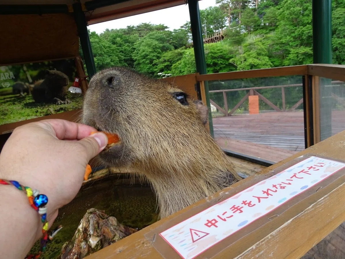 画像73