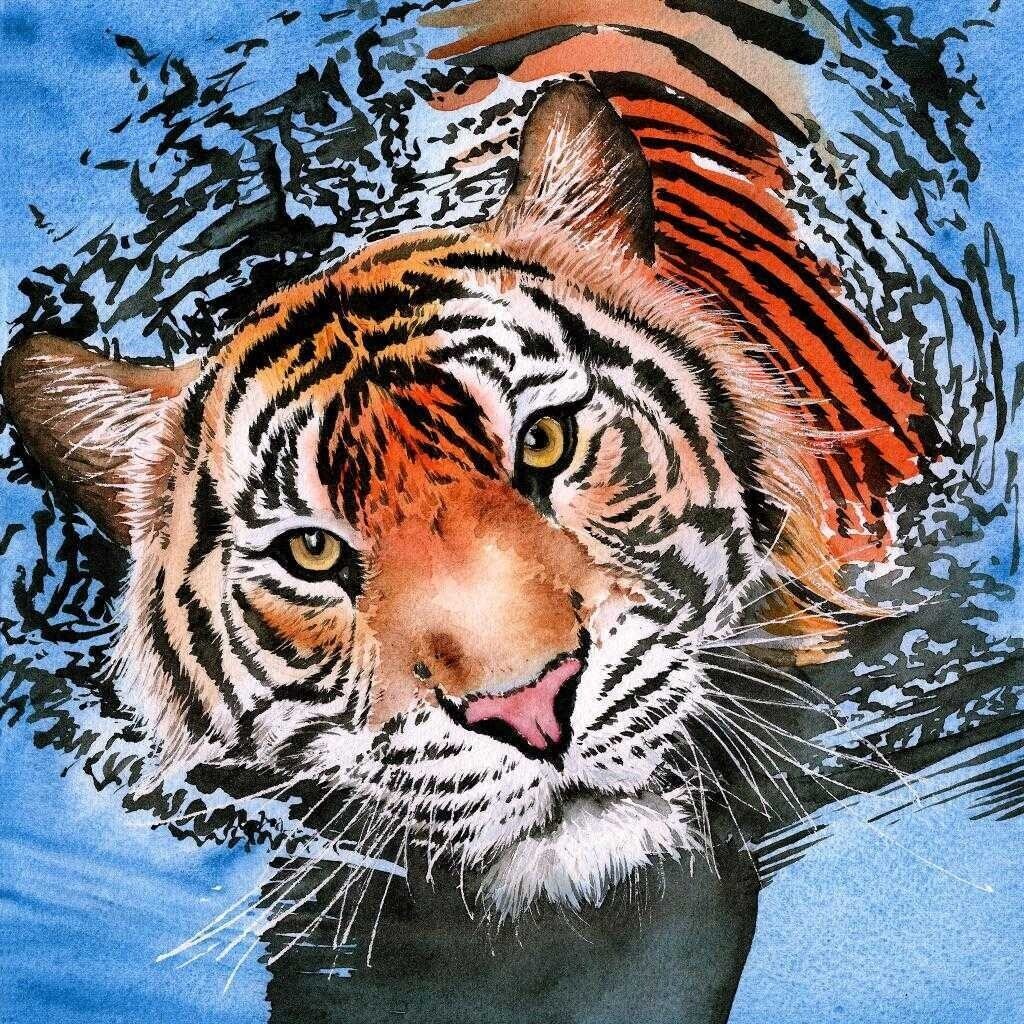 Color Scapesでの作品集7 こたつねこ Note Color Scapesでの作品集7 こたつねこ Note