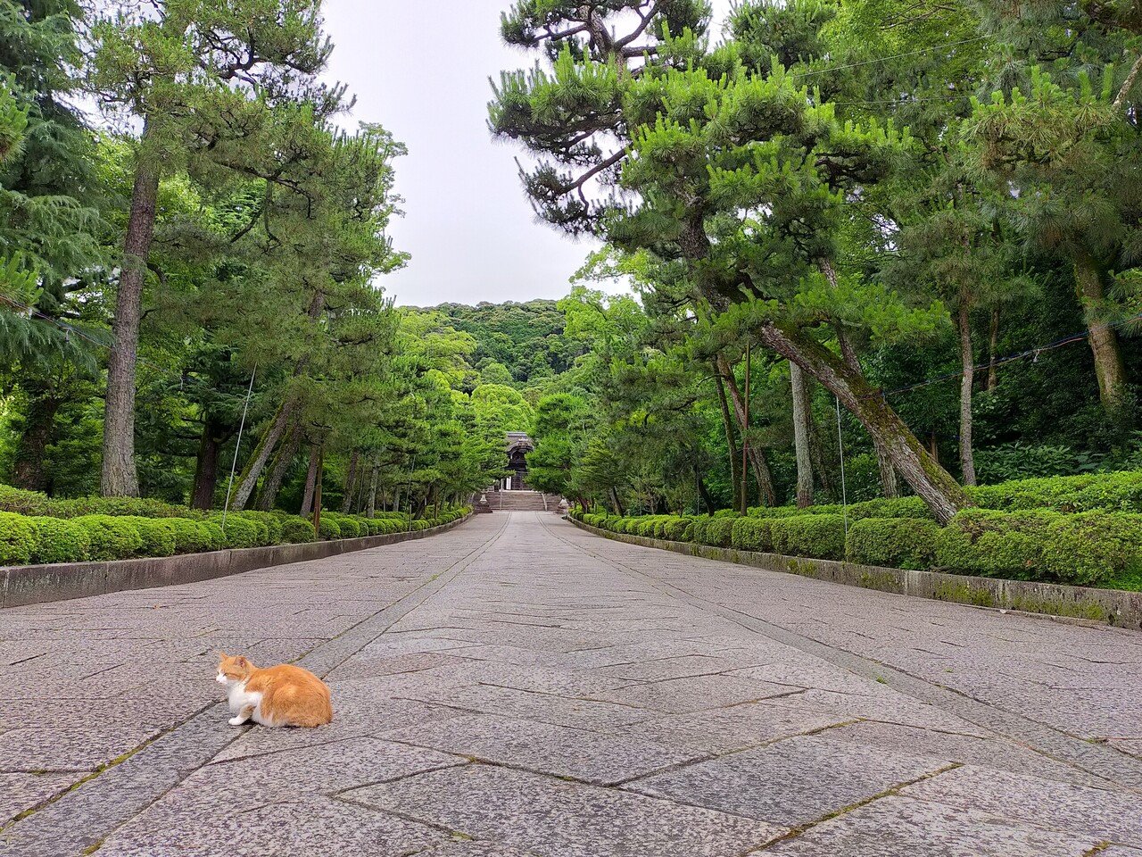 今日の大谷祖廟と円山公園。｜あい｜note