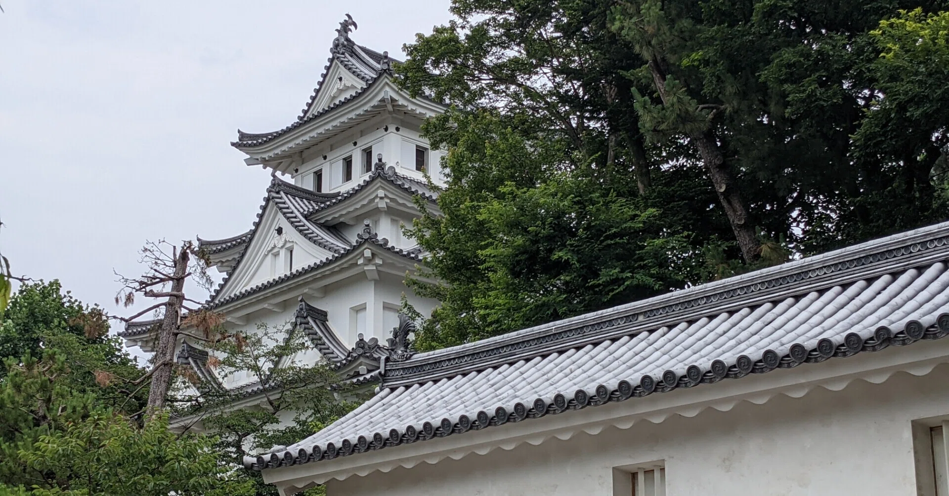 【大特価｜送料込】★現品のみ★愛知県新城市 1冊_在庫1点 たくさん歩く(大垣城) #156｜やん（矢野達也）