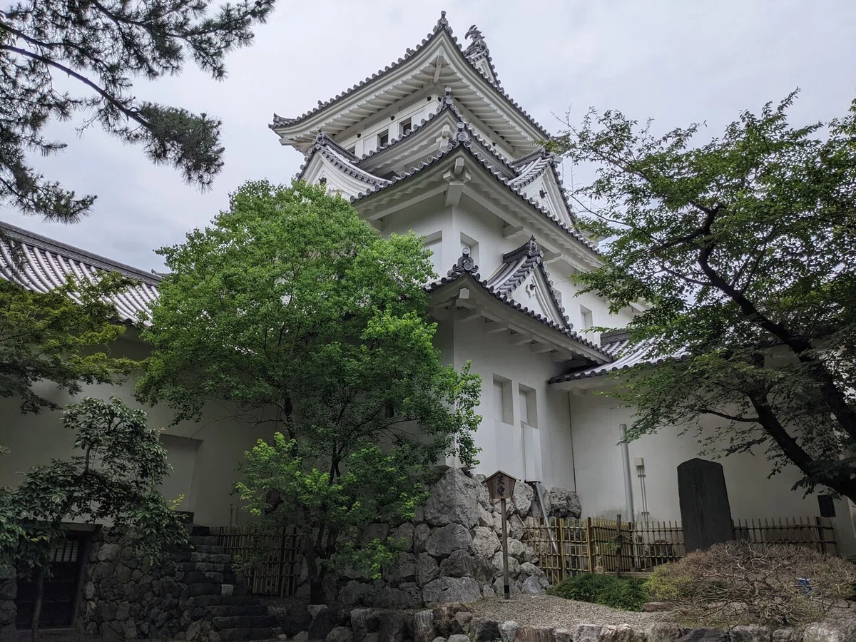 画像6