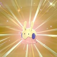 ポケモンsm 配布限定ポケモンメモ 誕生日イーブイ がみ Note