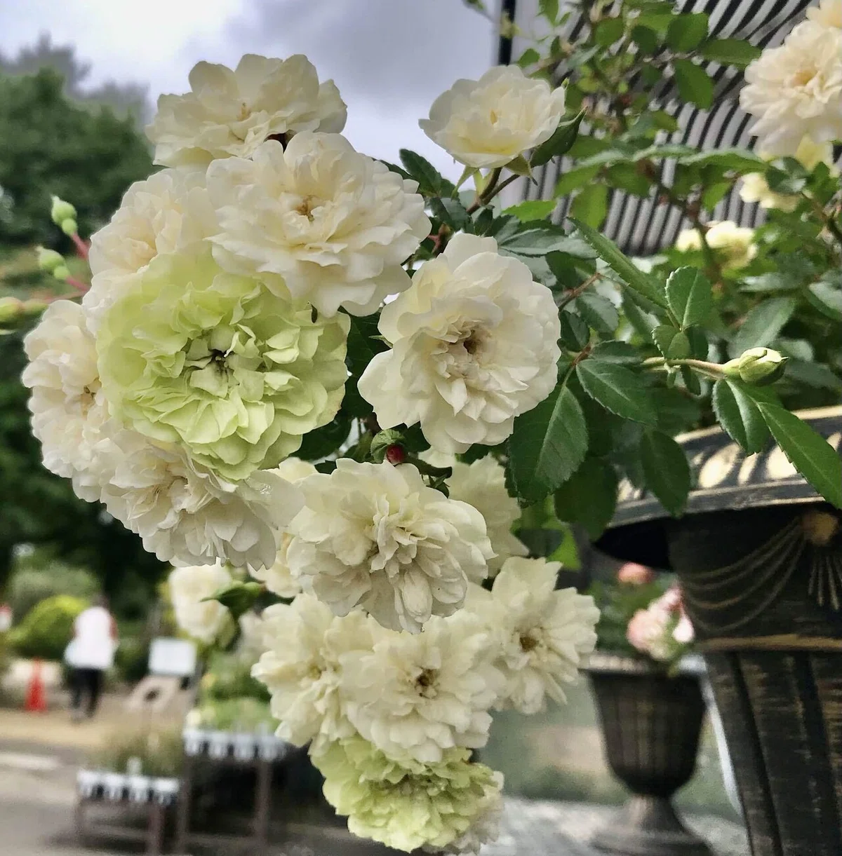 画像9
