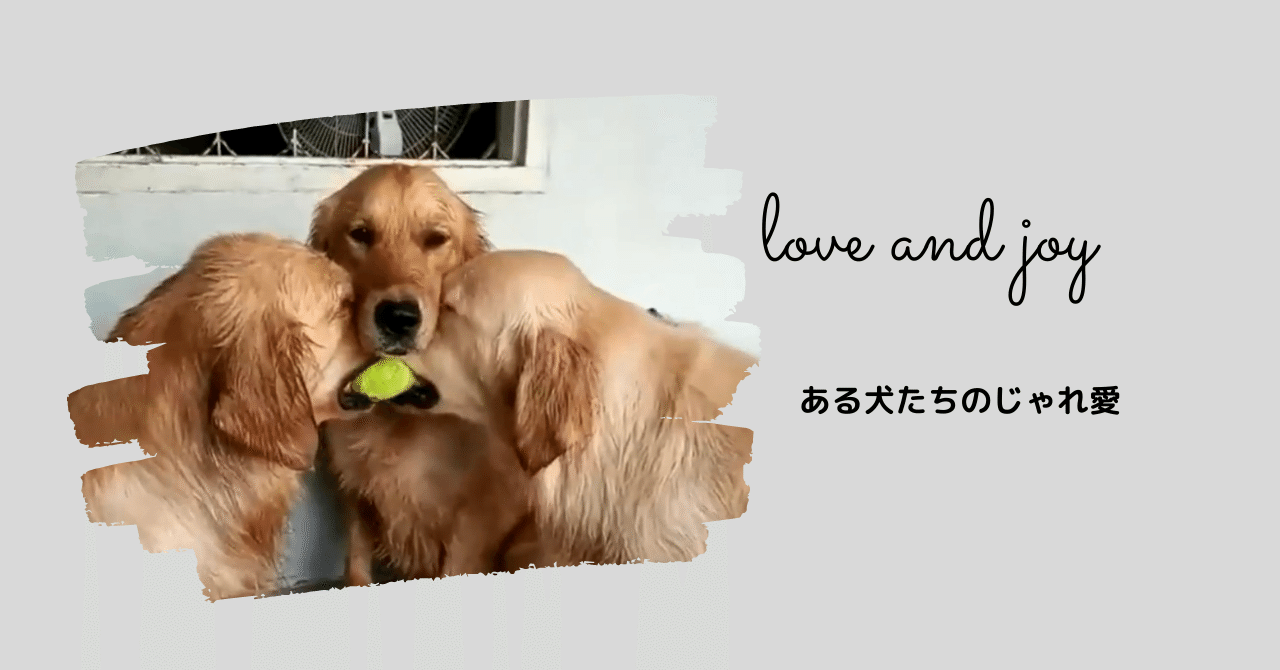 ある犬たちのじゃれ愛 セイコ Note