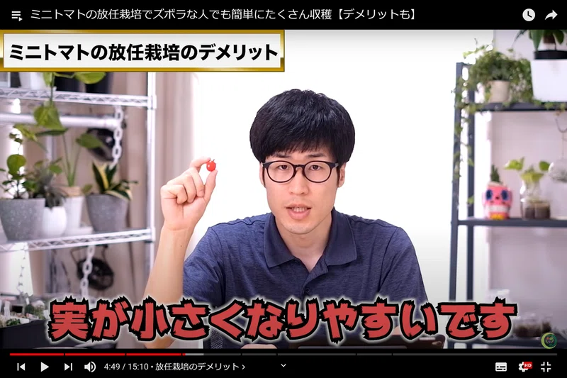 ずぼらな人におすすめ 簡単にたくさん収穫できるミニトマトの放任栽培 デメリットも 井上寅雄農園 井上隆太朗 Note