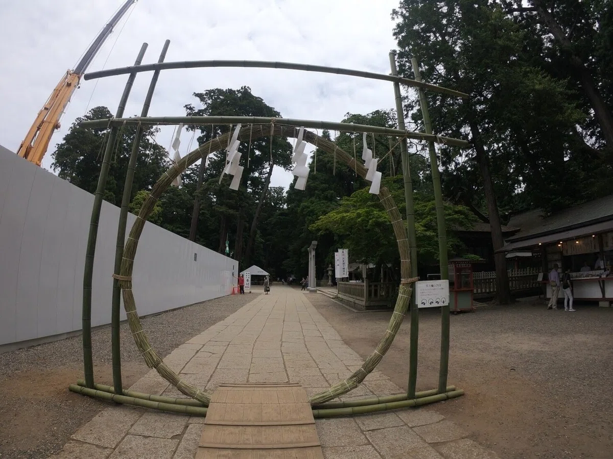 画像7