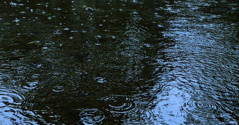 雨の音が私を連れていく