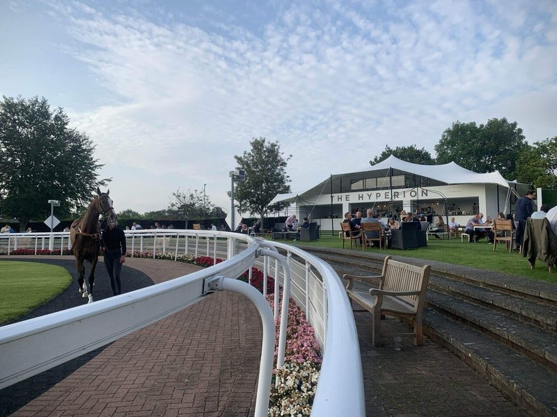 【総合評価〇】競馬場探訪: 英 エプソム競馬場(エプソムダウンズ競馬場)Epsom Downs Racecourse