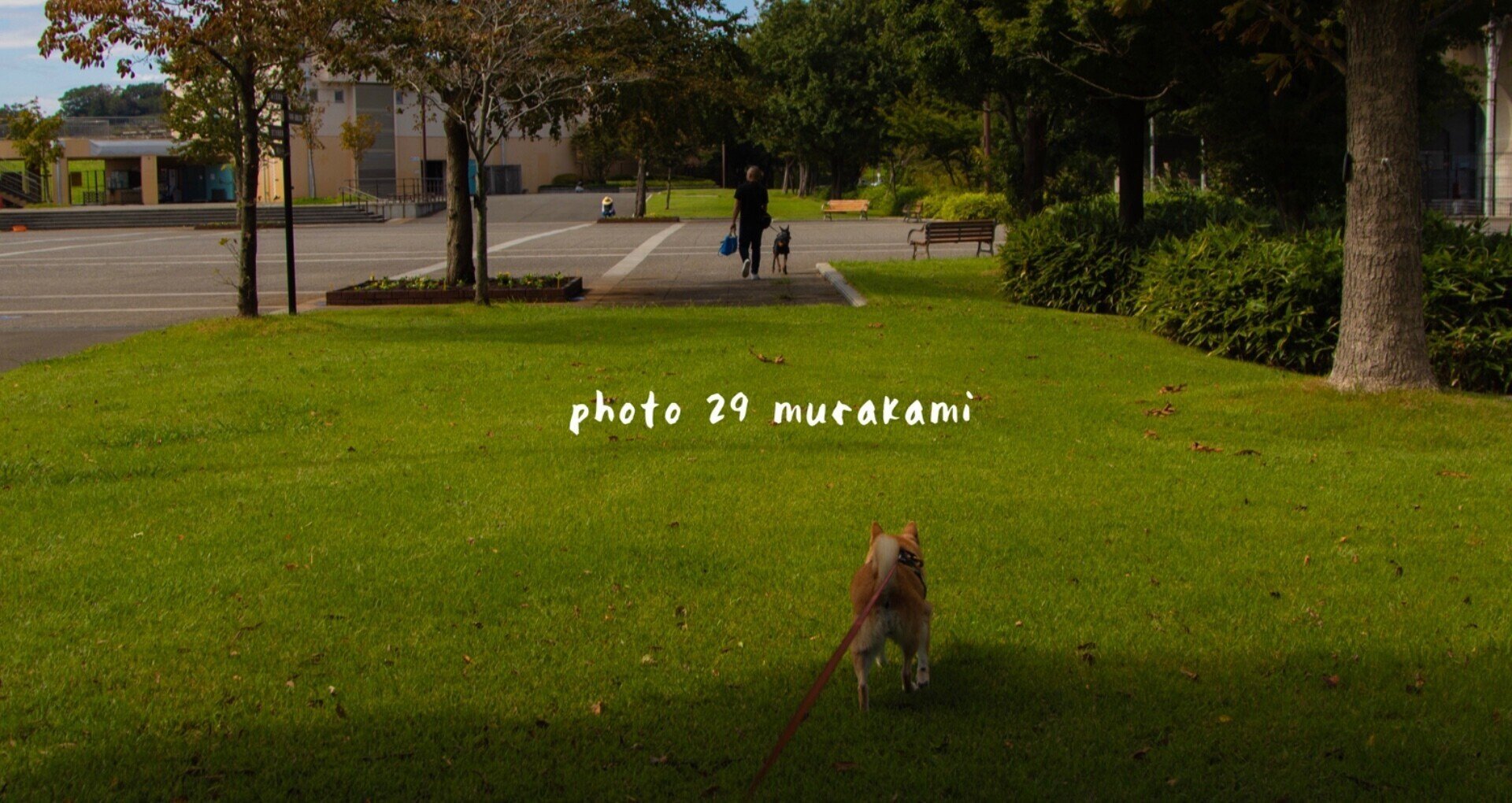 DOG PHOTO 29 MURAKAMI