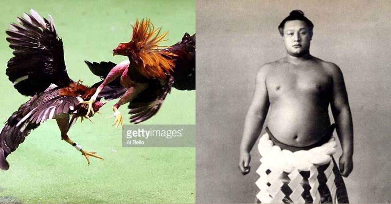 闘鶏 の新着タグ記事一覧 Note つくる つながる とどける 闘鶏 の新着タグ記事一覧 Note つくる つながる とどける