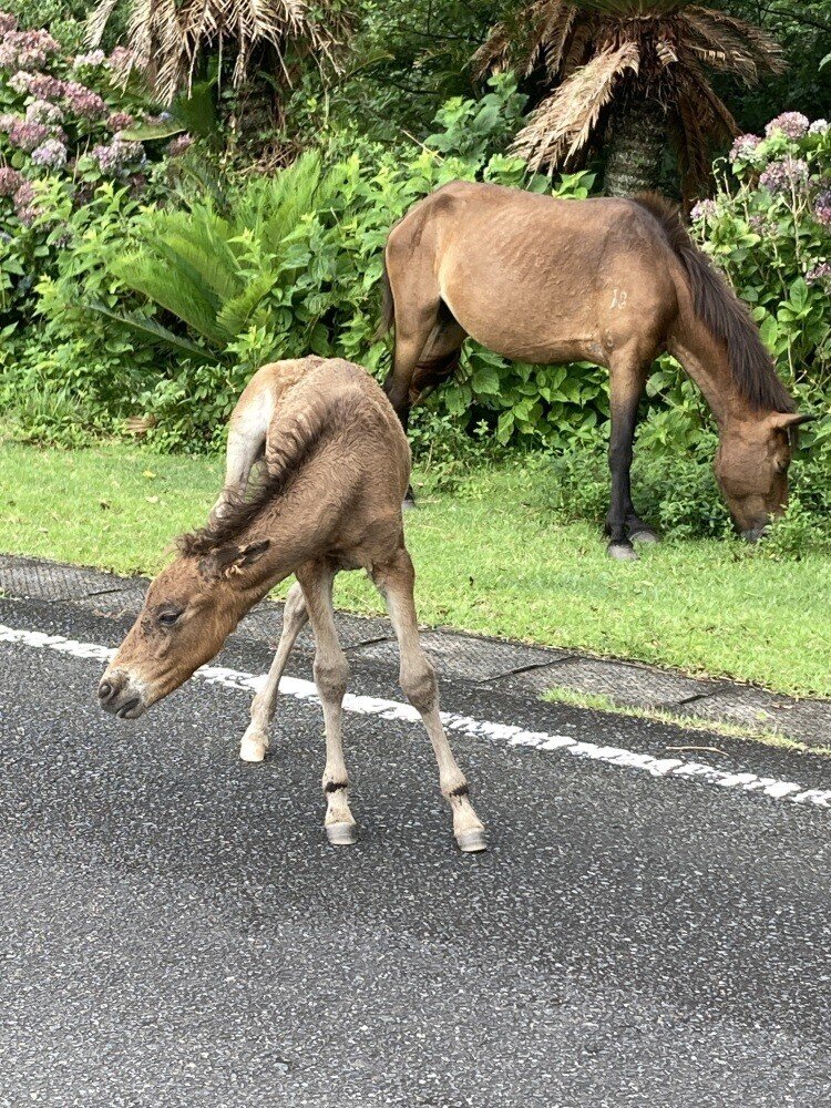 画像21