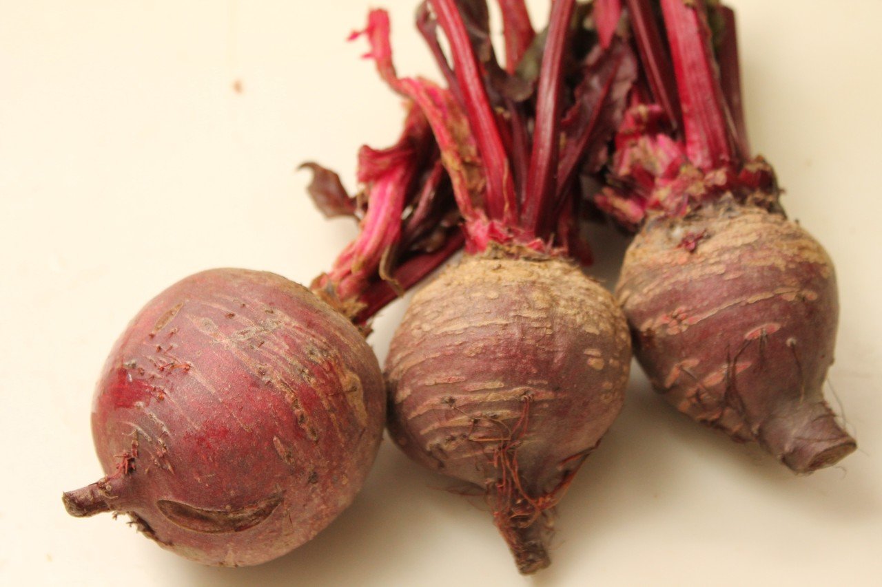 ビーツの寿司風 樋口直哉 Travelingfoodlab Note ビーツの寿司風 樋口直哉 Travelingfoodlab Note