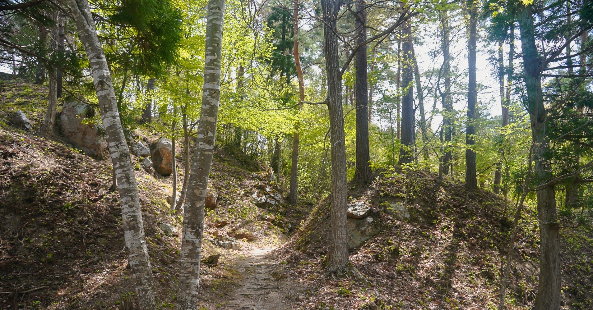 向羽黒山城跡の御城印を入手してきました｜熊谷郁｜会津美里町