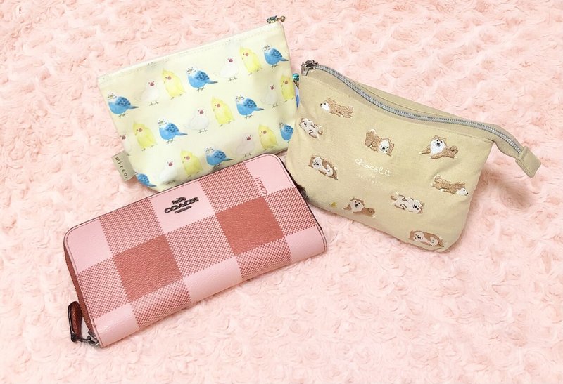 心配性な私のポーチの中身 What S In My Bag アップルマンゴー Note