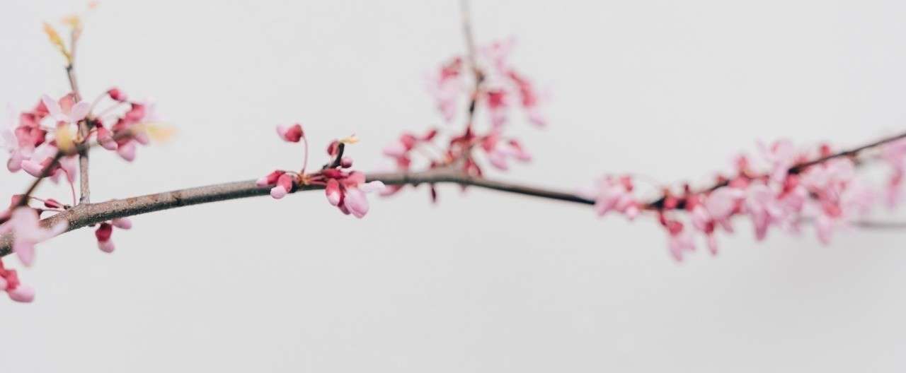 営業できないカメラマンが仕事を取るために必要なこと 横田裕市 写真家