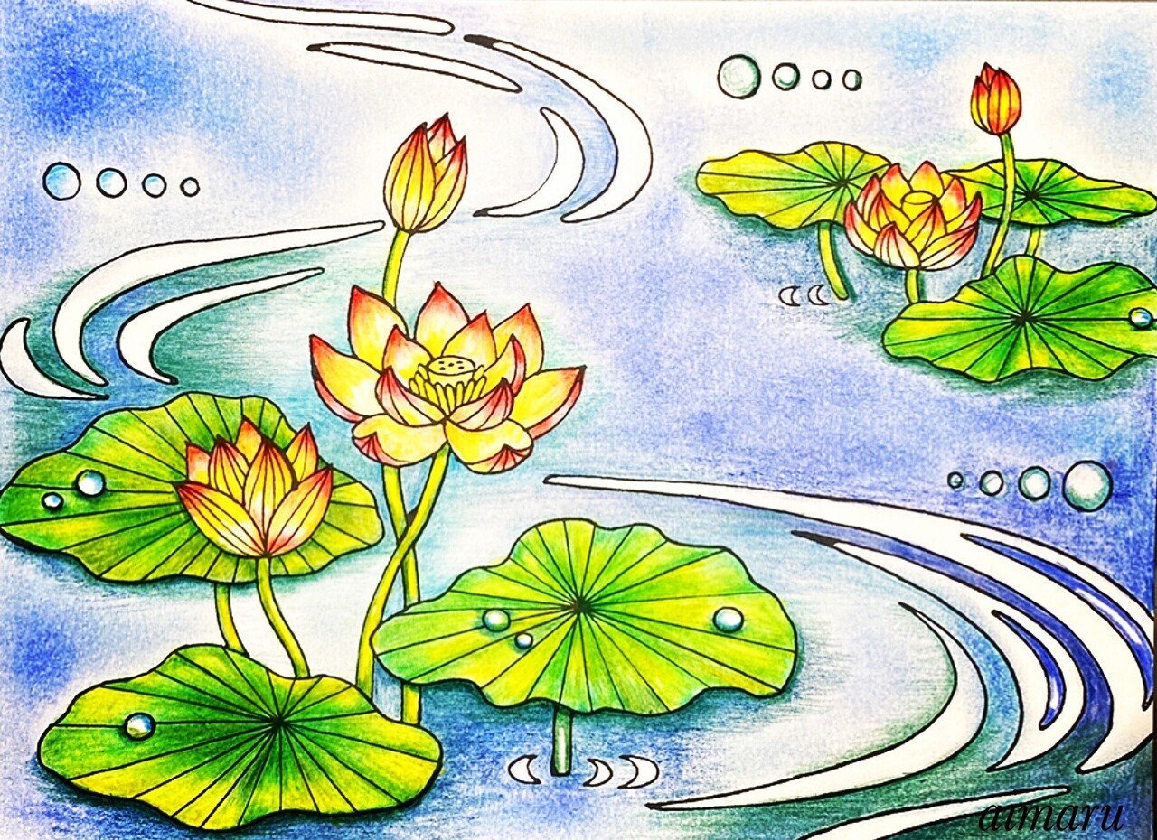 塗り絵作品集 色鉛筆 Aimaru Note 塗り絵作品集 色鉛筆 Aimaru Note