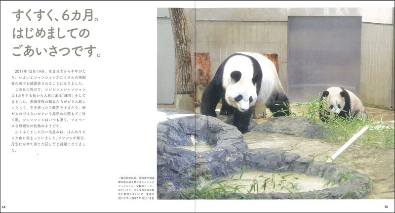 いくら似てようが パンダに敵うわけがない 上野のアイドル シャンシャン 朝日新聞出版さんぽ Note いくら似てようが パンダに敵うわけがない 上野のアイドル シャンシャン 朝日新聞出版さんぽ Note
