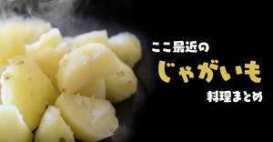 rectangle_large_type_2_8d48125