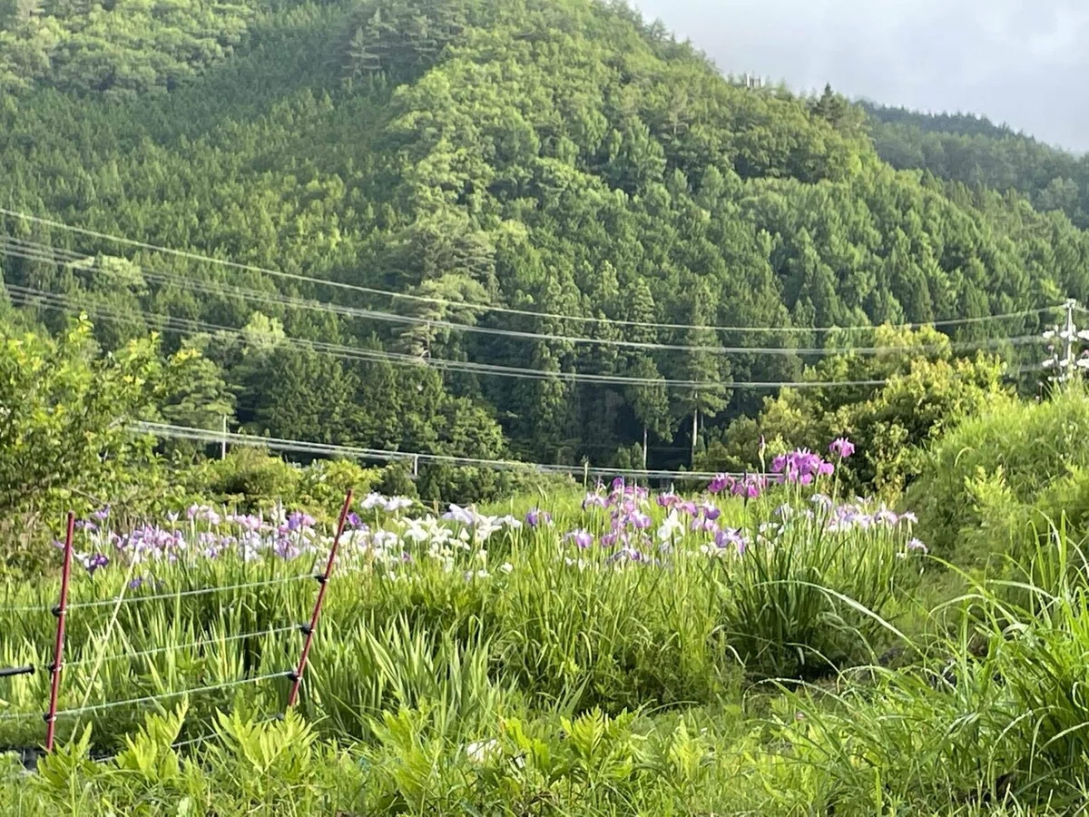 画像28