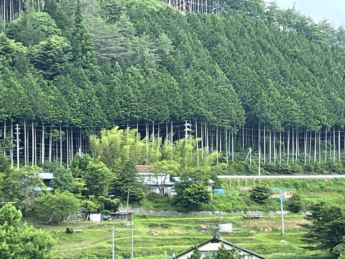 画像35
