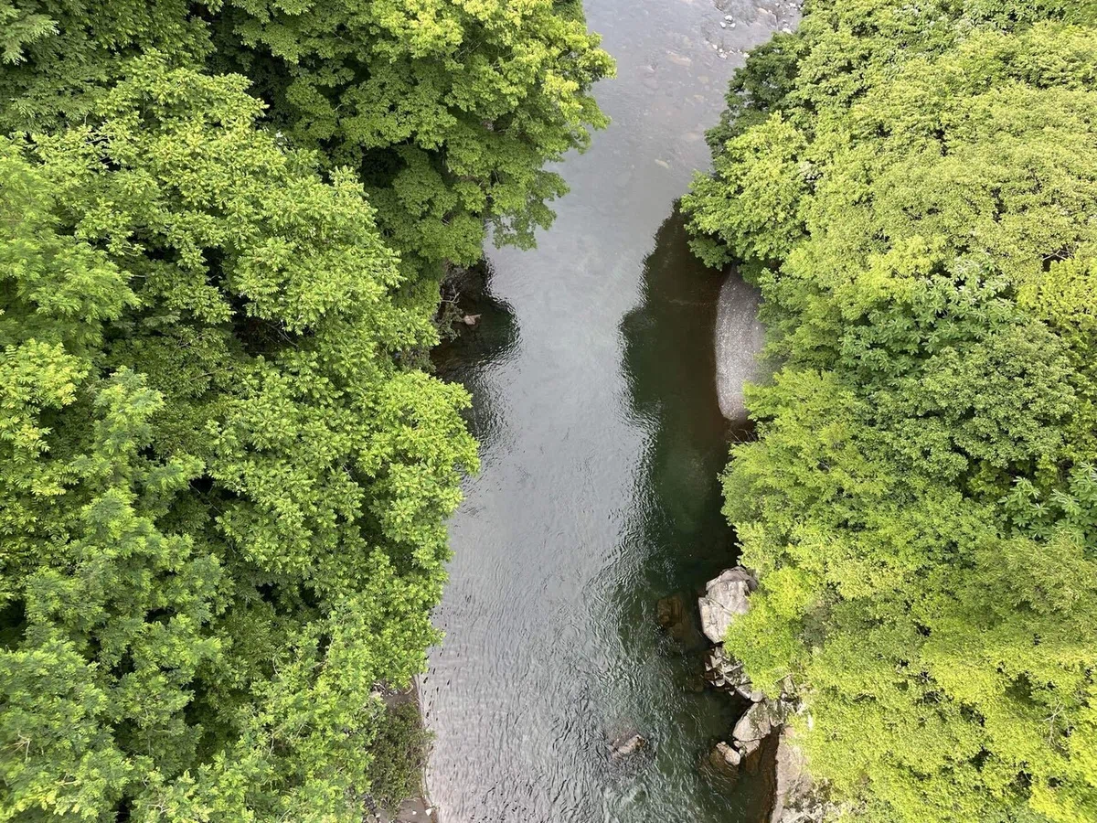 画像36