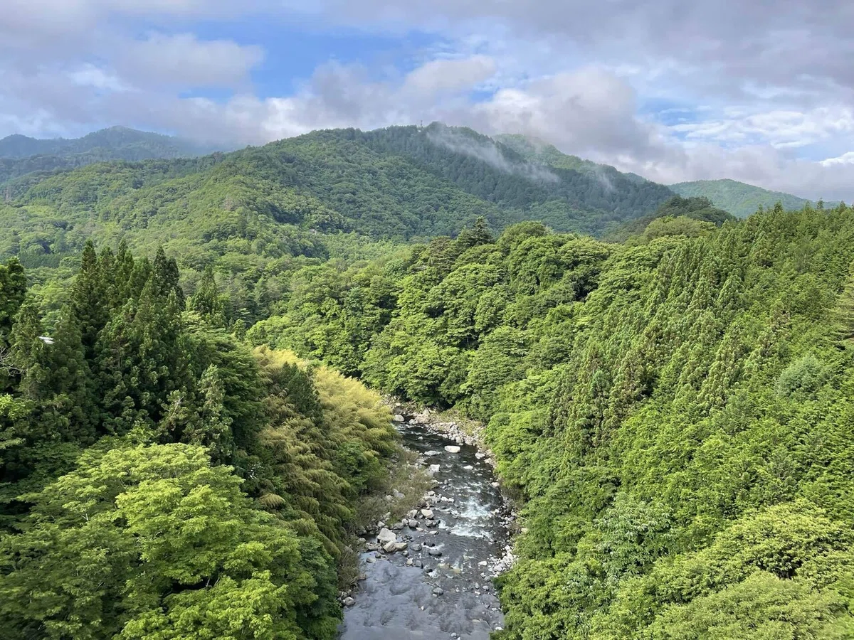 画像37