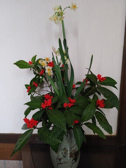 画像5