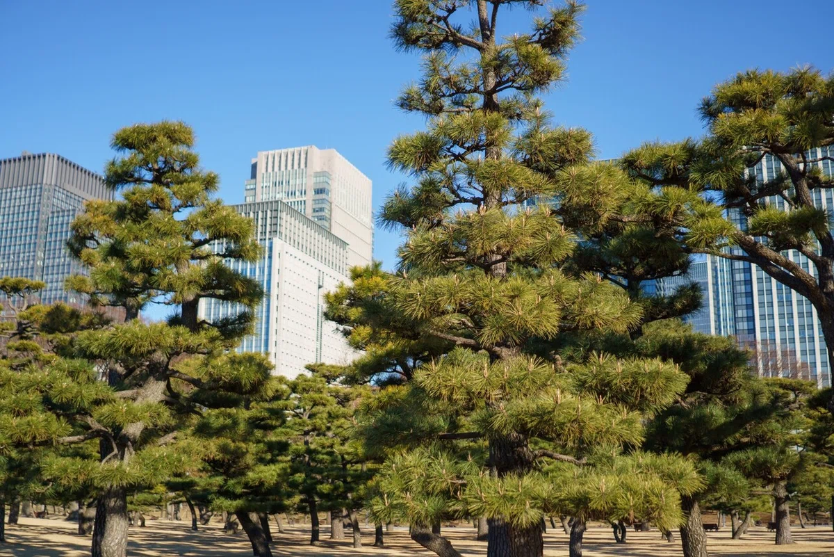 画像8