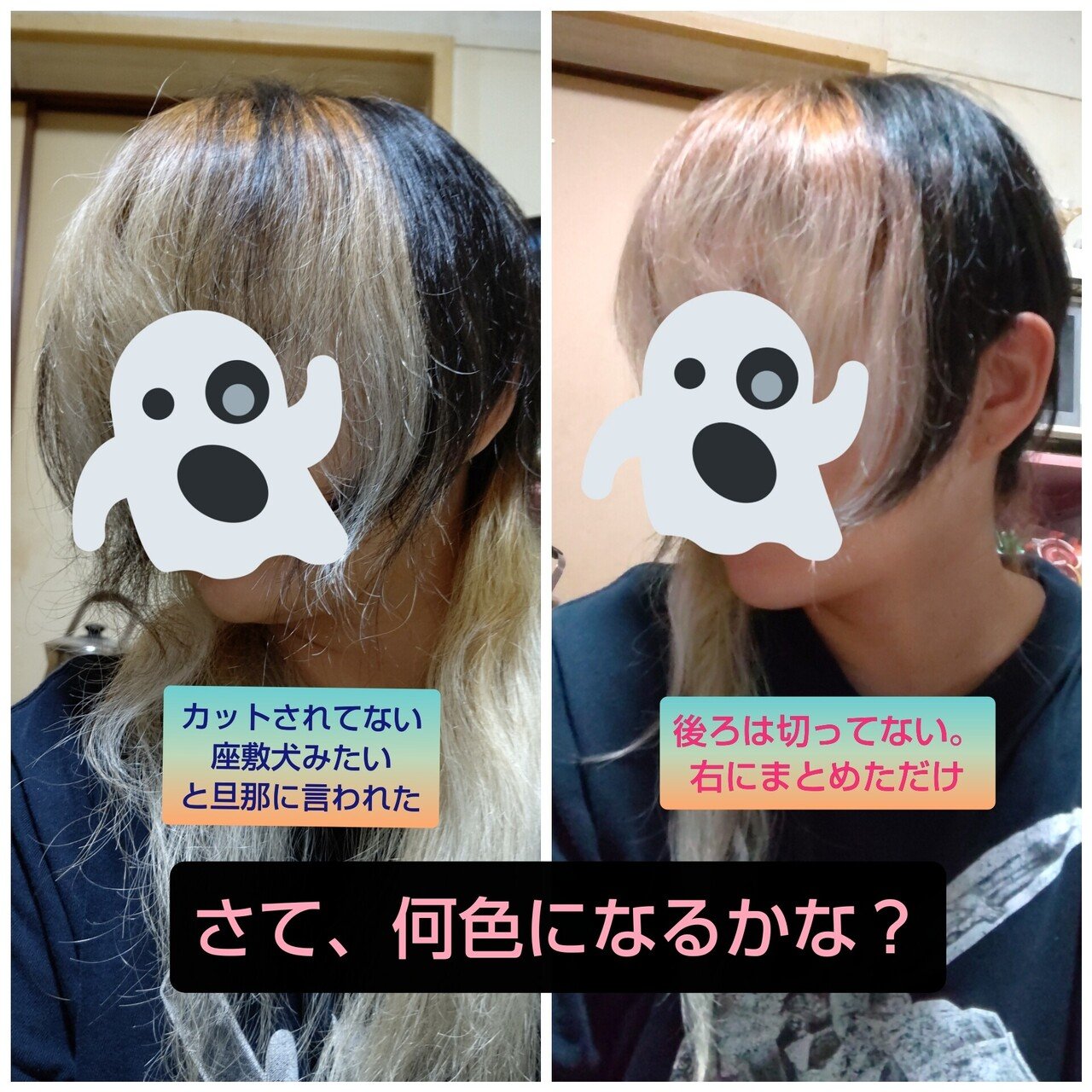 唐突に髪を切りたくなって切った 予定外に染めたくなって染めた もちろん 今 カットもカラーもオールセルフ 思い通りでご機嫌になるって 結局そういうことだと思う もちろん 自分から見えない後ろな もなちん ぶんちょと鸚哥のカイヌシ Note