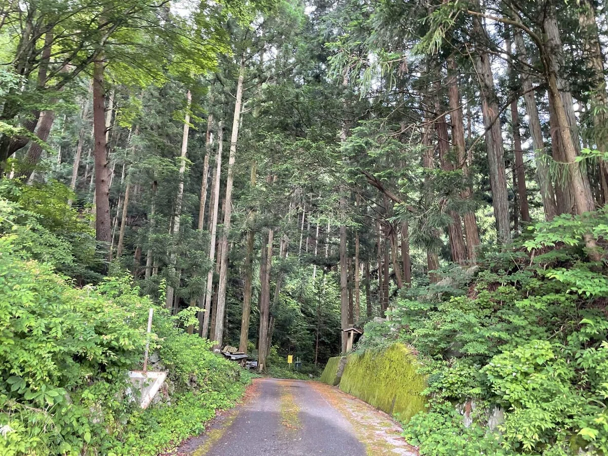 画像40